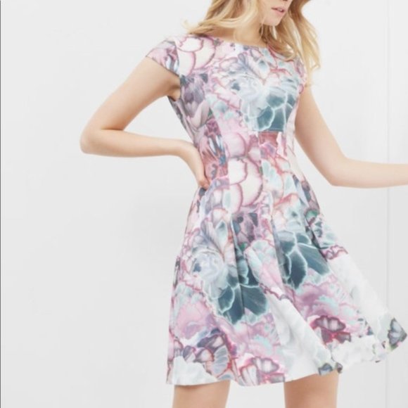 Ted Baker Dresses & Skirts - Ted Baker Pastel Succulent Mini Skater Dress 0